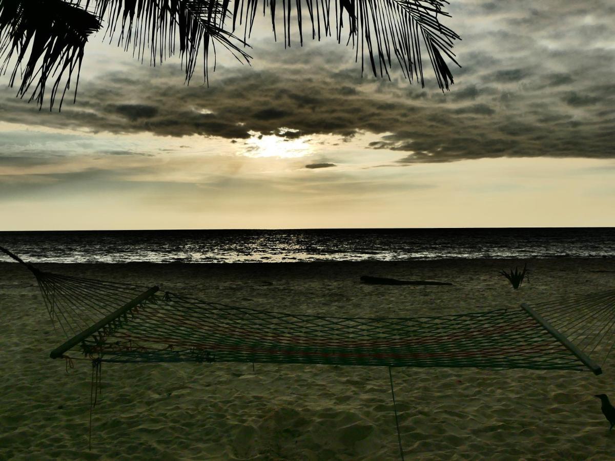 Marari Sealap Beach Villas Mararikulam Buitenkant foto