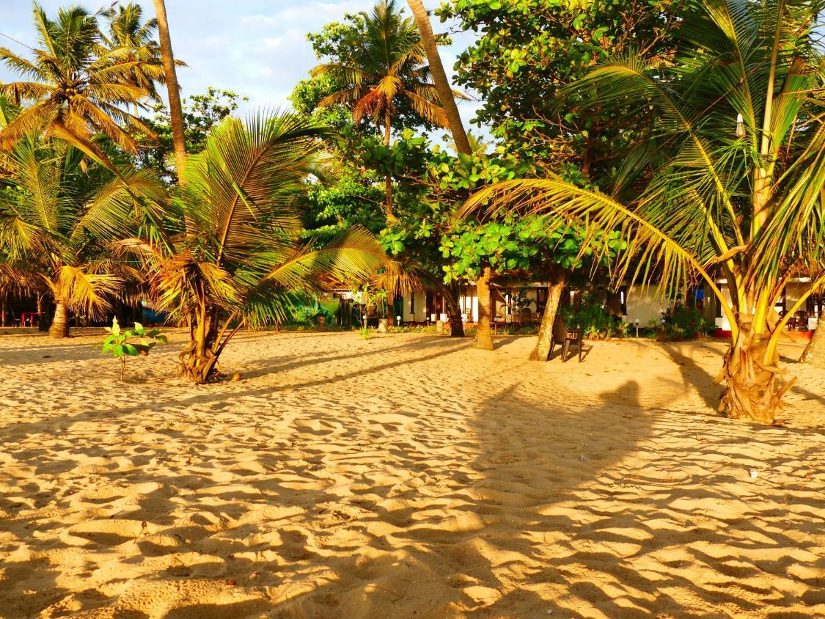 Marari Sealap Beach Villas Mararikulam Buitenkant foto